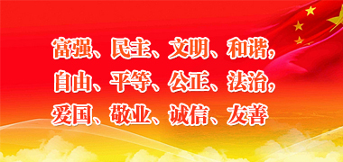 斑点狗多大开始长斑点,斑点狗身上的斑点怎么多一点