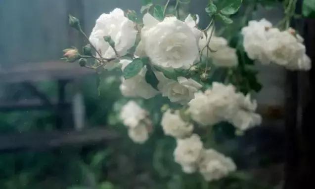 「解惑」为什么结婚后妇科病就多了呢？