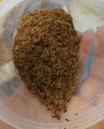 如何自制肉松宝宝辅食,宝宝肉松辅食制作方法