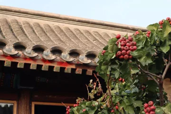 小巧便捷的佳能相机推荐,佳能m系列入门微单哪个好