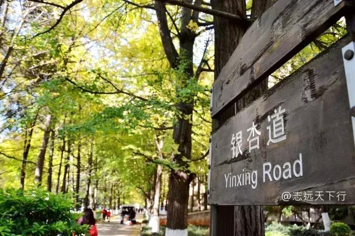 最美高校合集,最美211云大