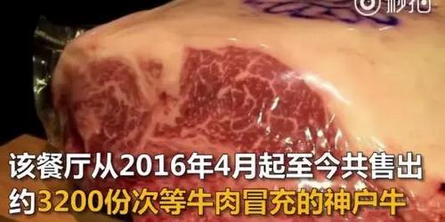 日产欺诈门事件,日产造假事件最新