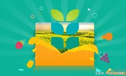 专访|农发贷CEO杨世华:未来农村金融市场前景广阔!