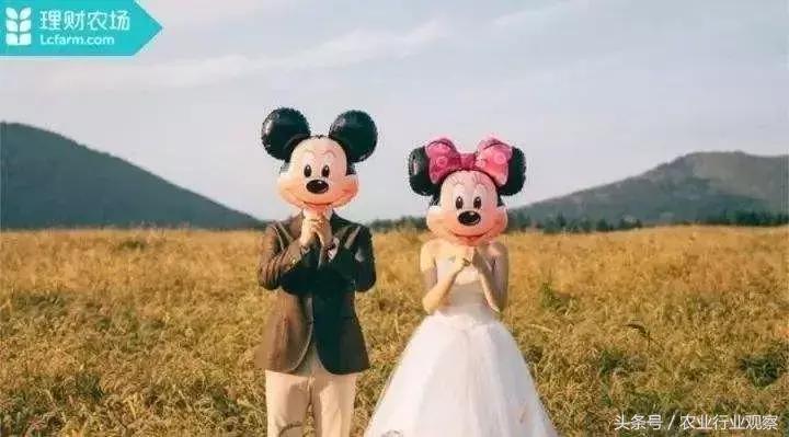 专访|农发贷CEO杨世华:未来农村金融市场前景广阔!