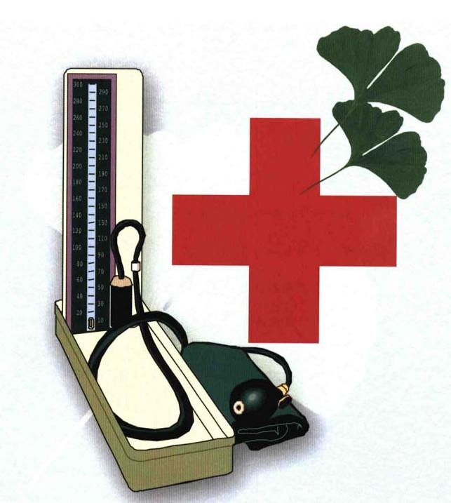 最新肾性高血压指南及治疗,肾性高血压的管理方法