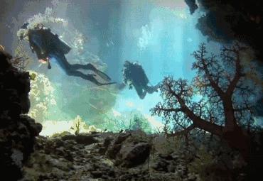 不会游泳可以学深潜嘛,不会游泳能学会潜水