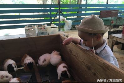 日本冲绳亲子游自由行攻略,冲绳亲子游视频