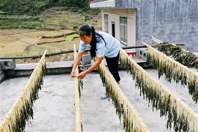 怎么在家赚钱的十种方法最新版,教你如何在家赚钱的十种方法