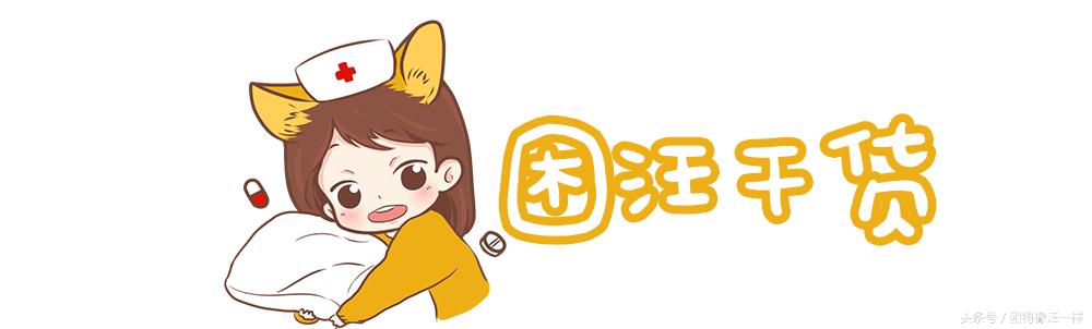 狗狗脚臭怎么办小妙招,狗狗脚臭怎么根除