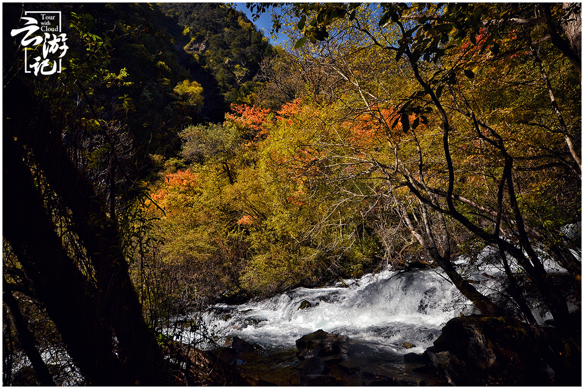 川西红叶5日自驾游,川西松坪沟旅行