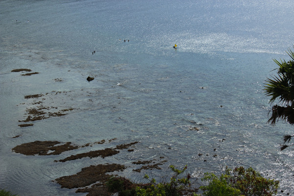 去巴厘岛玩需要换什么币,去巴厘岛兑换美元