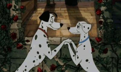 斑点狗多大开始长斑点,斑点狗身上的斑点怎么多一点