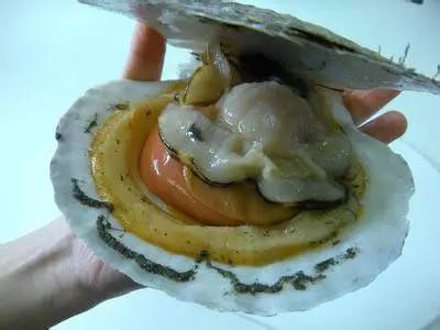 市场海鲜怎么买,挑选新鲜海鲜的正确方法