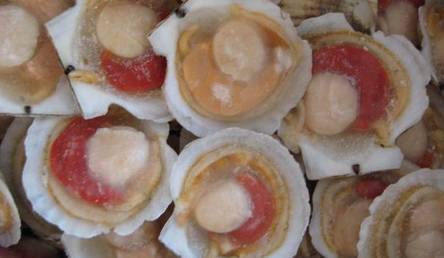 市场海鲜怎么买,挑选新鲜海鲜的正确方法