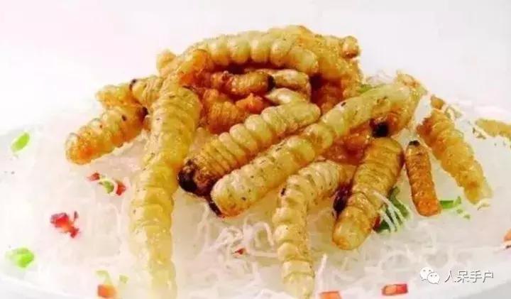 奇特的昆虫美食,史上最恶心的昆虫美食