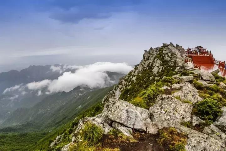 前方一大波高能正在来袭,一大波的好消息蜂拥而至