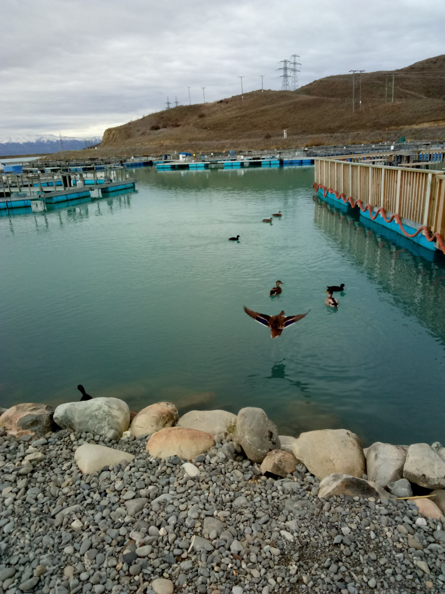 新西兰旅游自由行最佳路线攻略,新西兰纯净之路