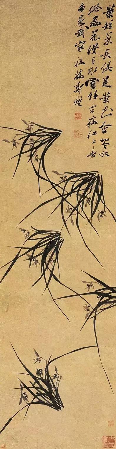 郑板桥画的是兰花还是兰草,郑板桥画不画兰花