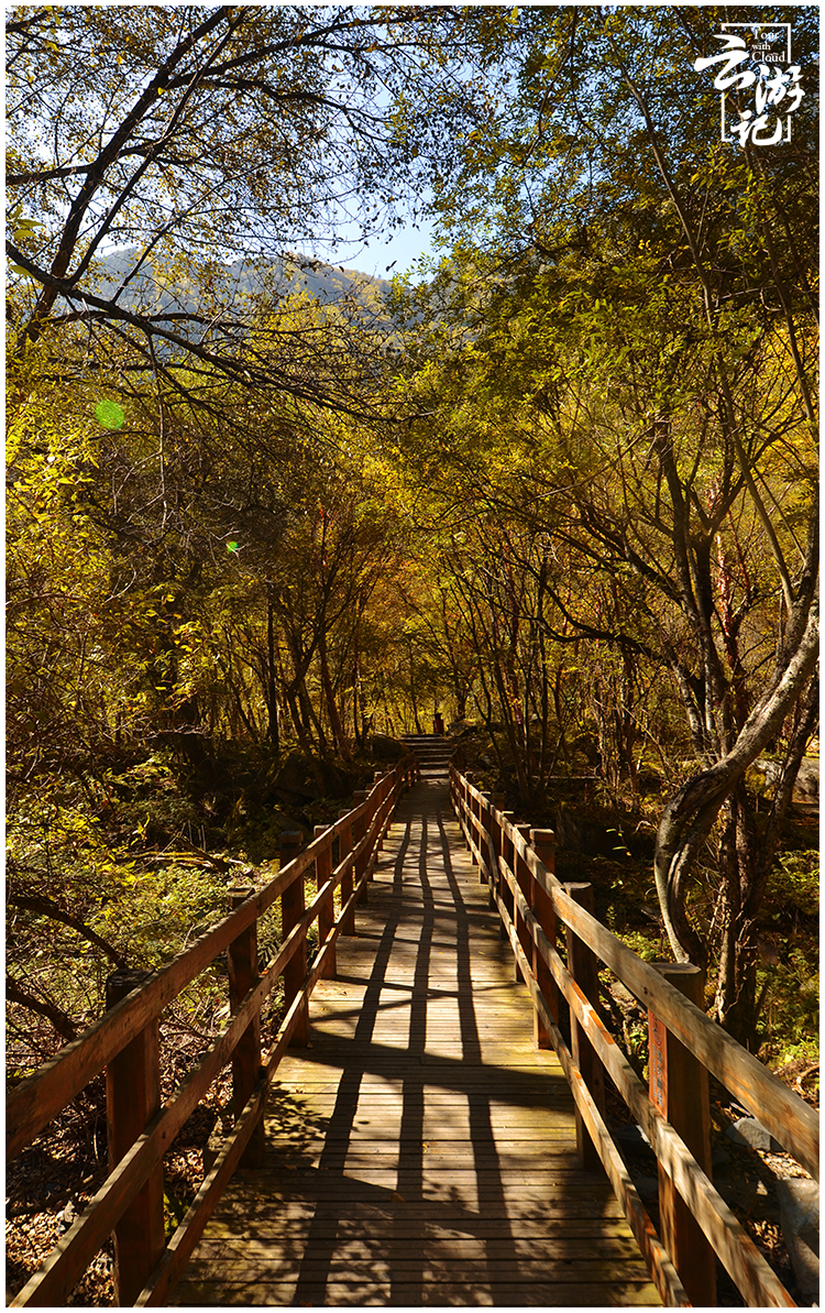 川西红叶5日自驾游,川西松坪沟旅行
