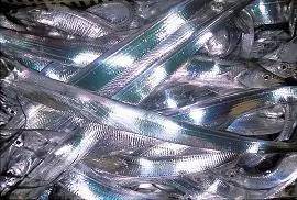 市场海鲜怎么买,挑选新鲜海鲜的正确方法