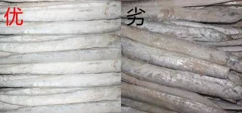 市场海鲜怎么买,挑选新鲜海鲜的正确方法