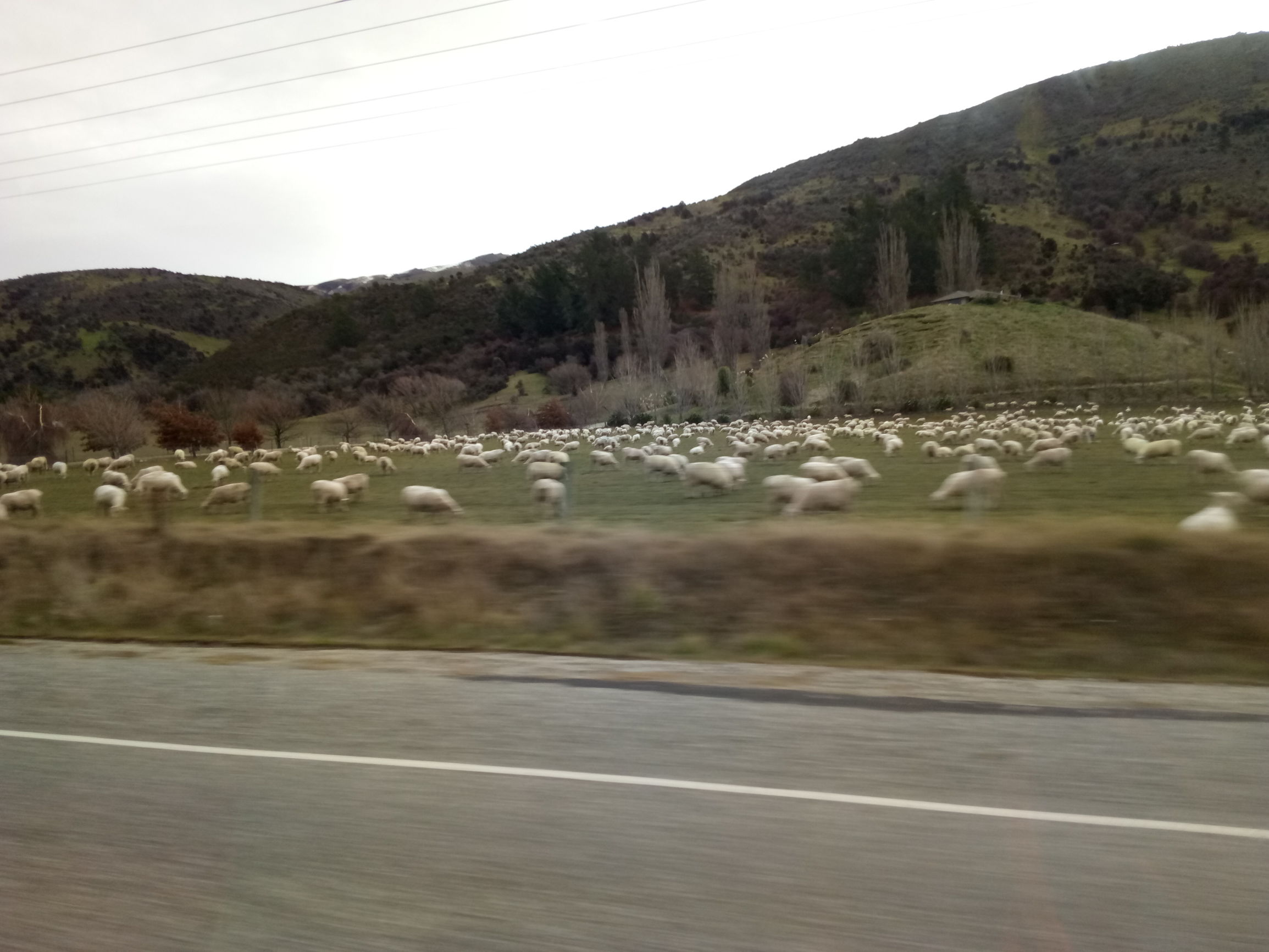 新西兰旅游自由行最佳路线攻略,新西兰纯净之路