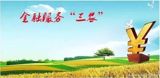 专访|农发贷CEO杨世华:未来农村金融市场前景广阔!