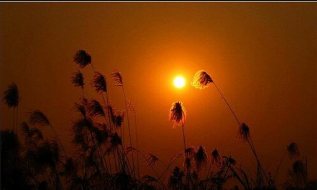 偶遇盲人推拿,偶遇中医