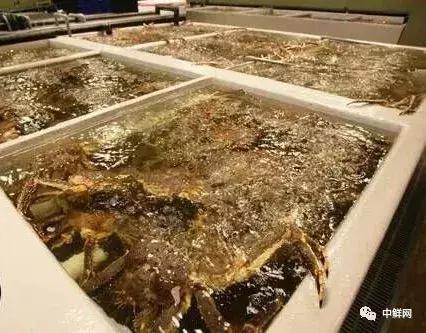 超市水产经营技巧,超市里的水产