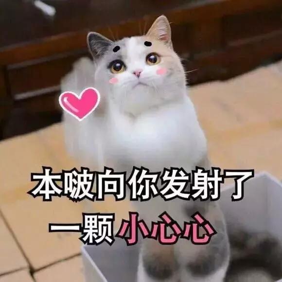 商家陷阱千万要看清,商家警惕骗局