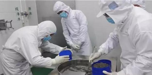 云南鲟鱼谷,中国清江鲟鱼谷