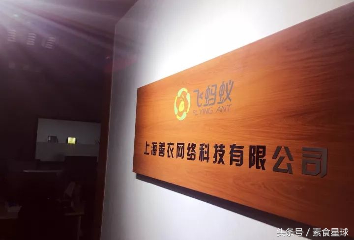 飞蚂蚁的创始人是谁,飞蚂蚁创始人