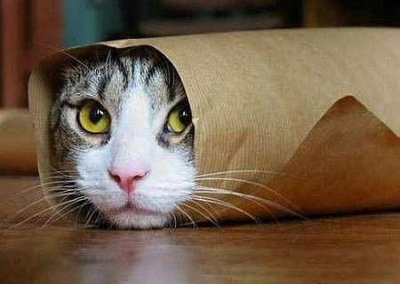 充电快的方法视频教程,vivo手机充电慢教你一招快速充电