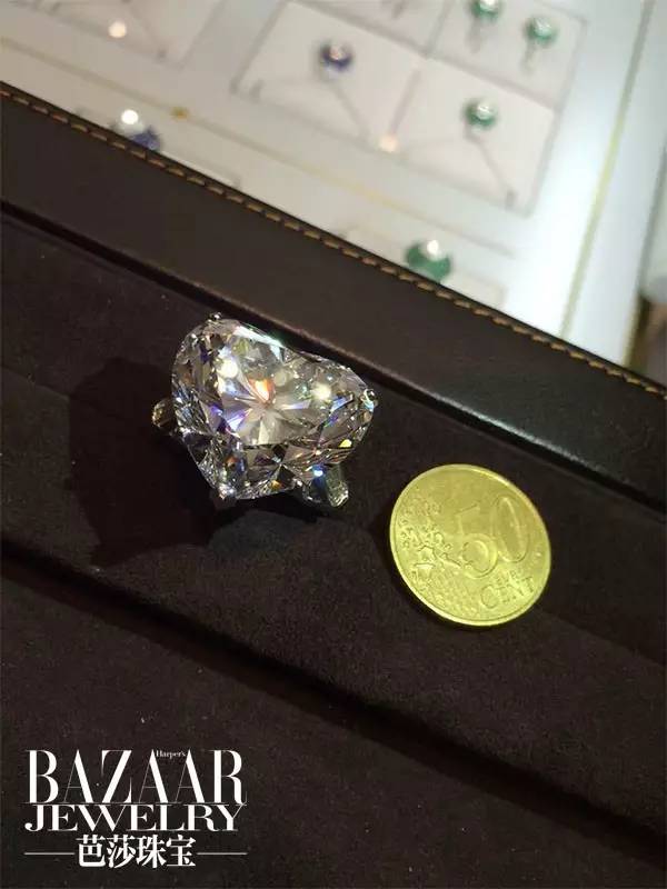 时尚新宠到底有哪些魅力,时尚界的新宠是谁