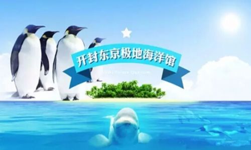 开封东京极地海洋馆,开封东京极地海洋馆团购价格