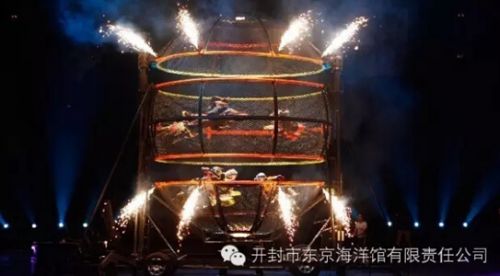 开封东京极地海洋馆,开封东京极地海洋馆团购价格