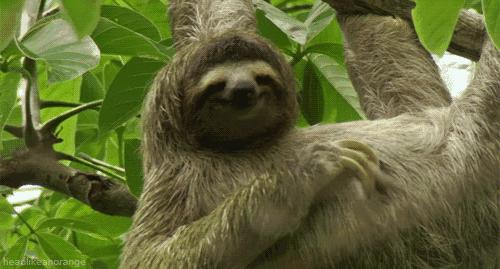 旁友，你可以用文艺的方式做内容，但不能用文艺的态度做生意啊