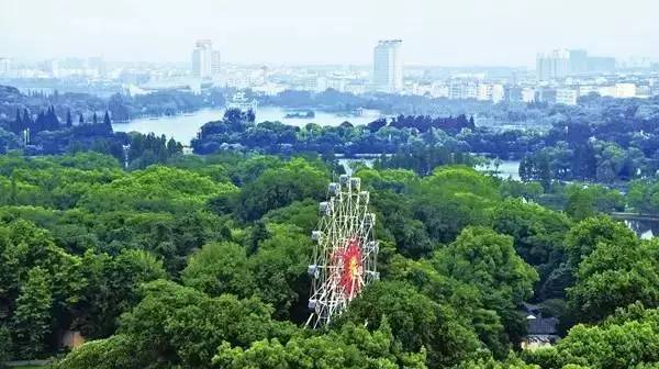 绿地面积和绿化覆盖面积,绿地面积和绿化覆盖面积哪个更大