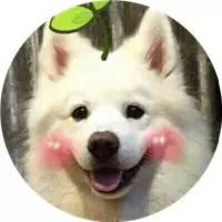 盘点那些不露脸长得很好看的网红,那些头像丑到爆的网红