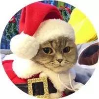 盘点那些不露脸长得很好看的网红,那些头像丑到爆的网红