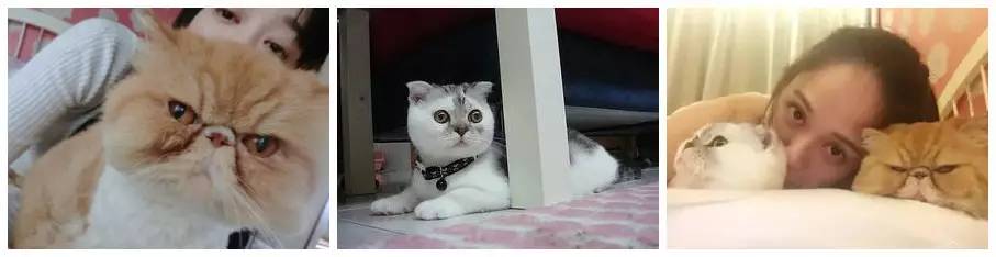 盘点那些不露脸长得很好看的网红,那些头像丑到爆的网红