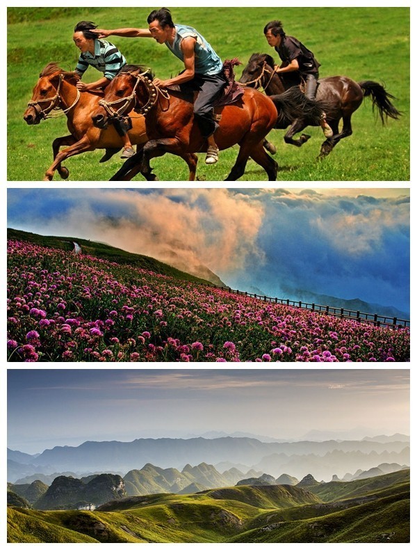 不看就亏的笑话,不看就亏了的图片