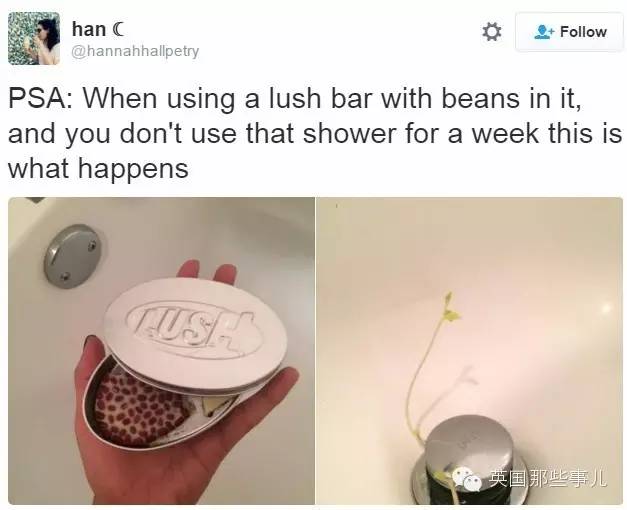 自从这公司出了款带豆子的按摩皂...英国人澡堂开始不对了...