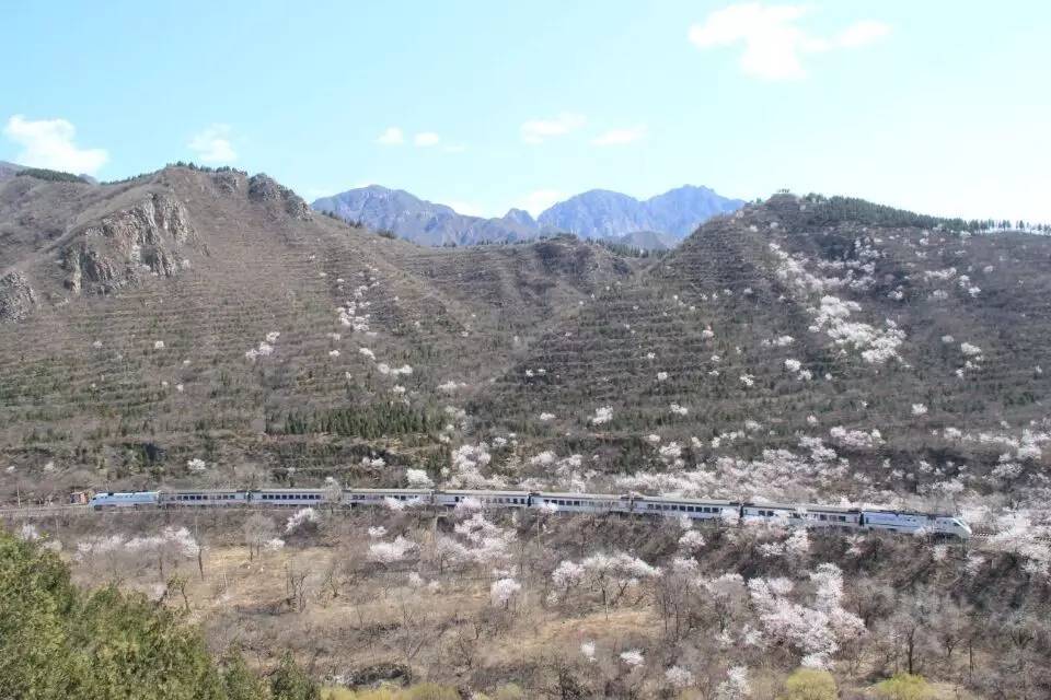 开往春天的列车图片唯美,开往春天的列车看图作文