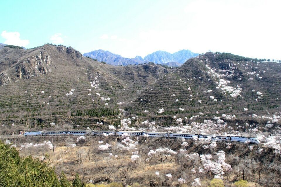 开往春天的列车图片唯美,开往春天的列车看图作文