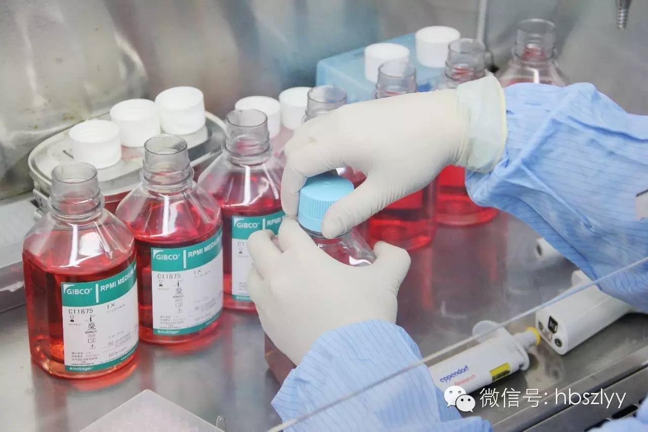 揭秘记者亲感:血液中“星星之火”如何体外培养成抗癌主力