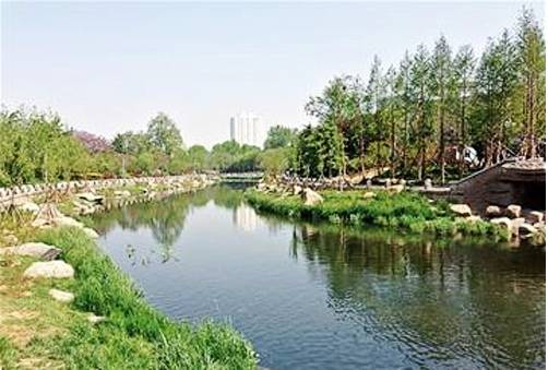 青岛18年清明赏花,青岛赏花踏青攻略