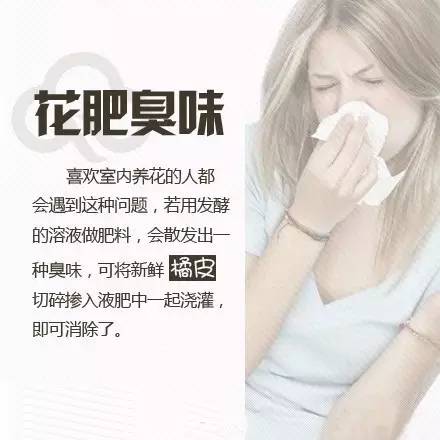 屋子里臭怎么快速去味,家里臭什么方法最快解决