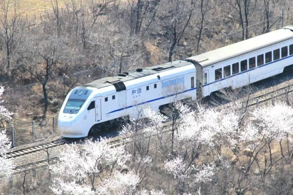 开往春天的列车图片唯美,开往春天的列车看图作文