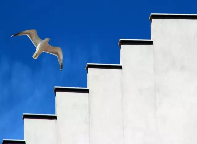 视觉明暗对比,视觉冲击颜色对比图片